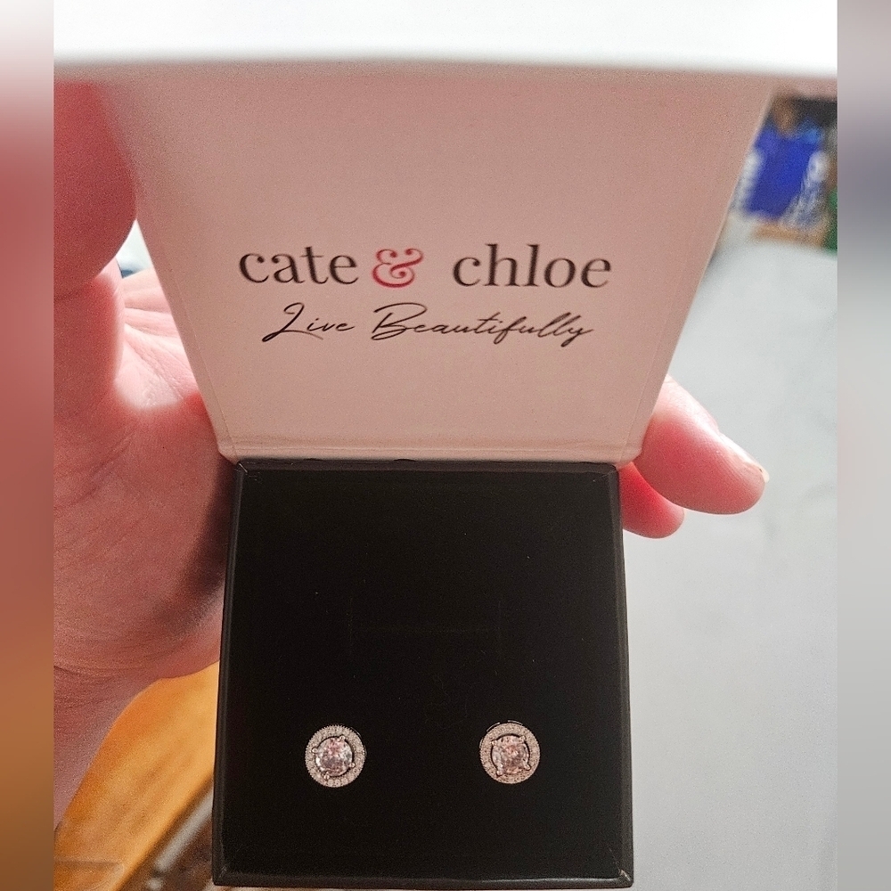 NEW Cate & Chloe Silver Stud Earrings With CZ Stones!